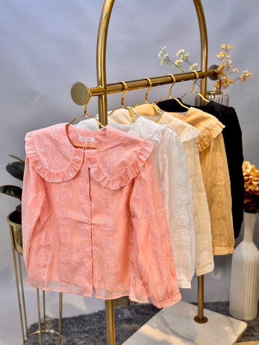 Sheer Embroidered Peter Pan Collar Blouse